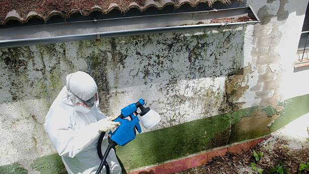 Top rated local Crawl Space Mold Remediation specialists in Woodbury, TN